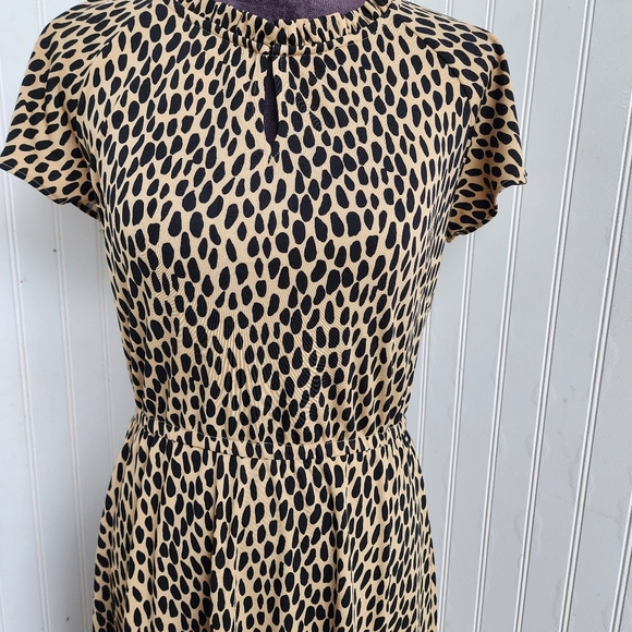 Talbots Women's Short Sleeve Dress Black Beige Pebble Stretch Midi Sz XS - Picture 3 of 15